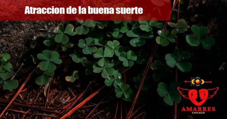 amarres en chicago atraccion de la buena suerte chicago illinois